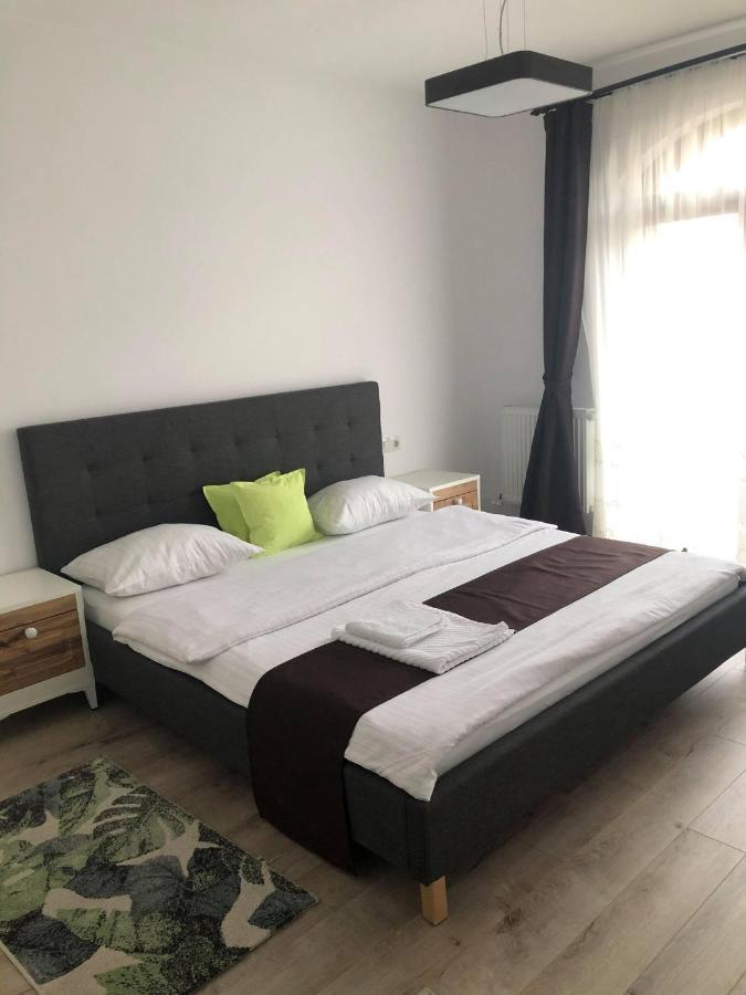 Holiday Luxury Villa With Private Garden Şelimbăr Bagian luar foto