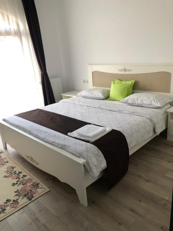 Holiday Luxury Villa With Private Garden Şelimbăr Bagian luar foto
